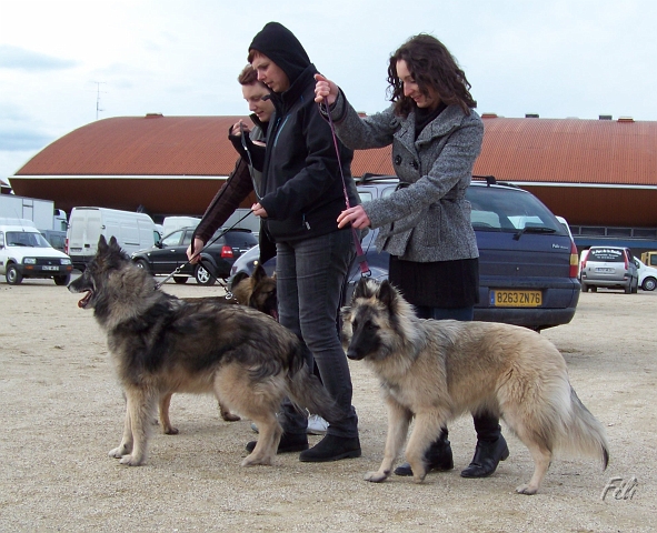 102_5265.JPG - Mircash et Eryne  du parc jonageois