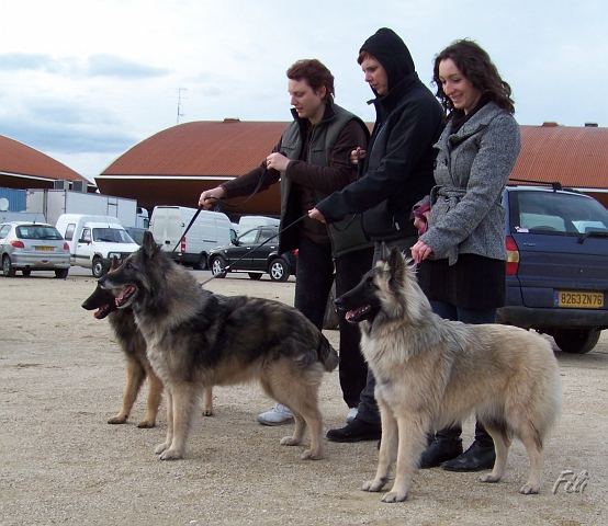 102_5266.JPG - Envie d'Avoir Envie , Mircash et Eryne  du parc jonageois