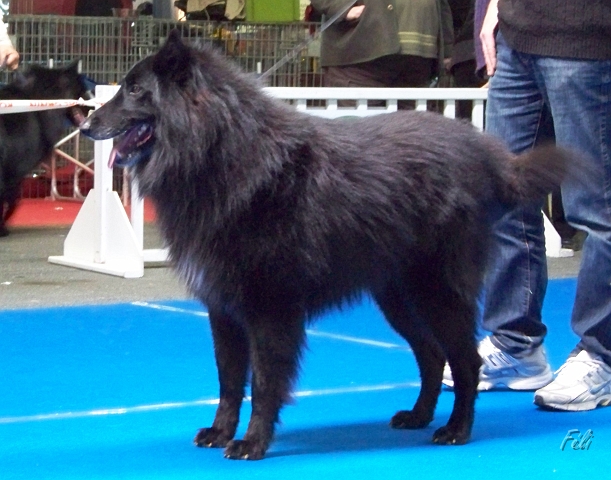 5322.JPG