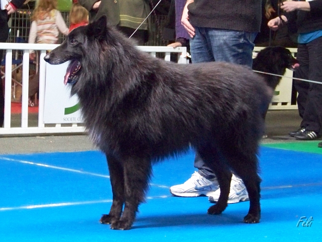 5324.JPG