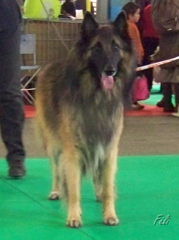 5346.JPG