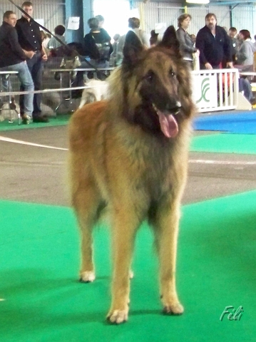 5356.JPG