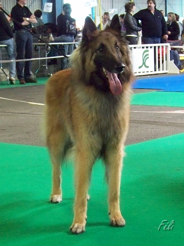 5357.JPG
