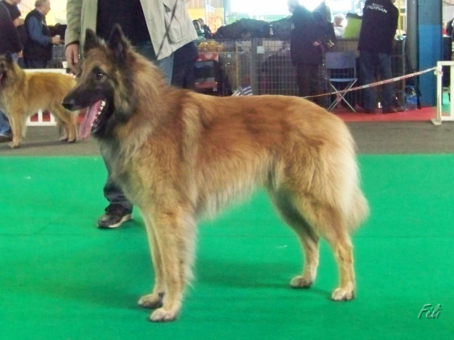 5359.JPG