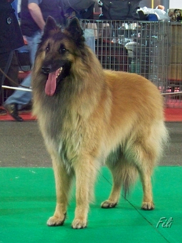5369.JPG