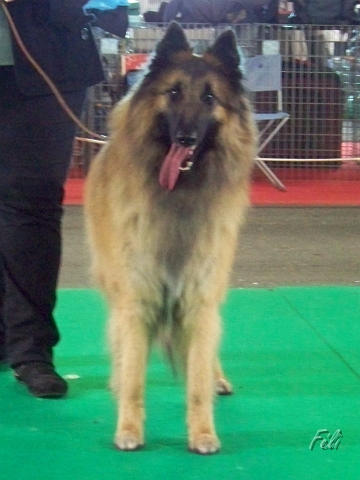 5370.JPG