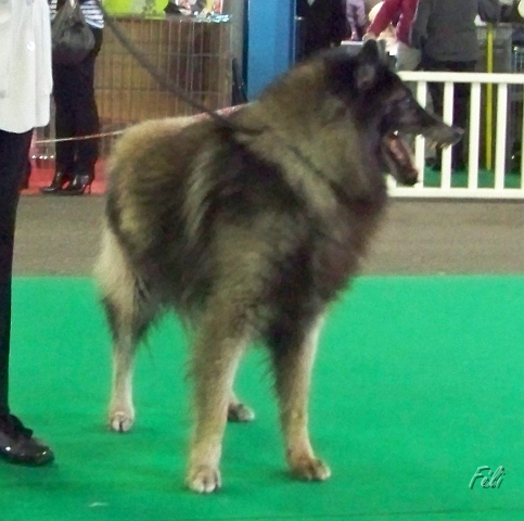 5376.JPG
