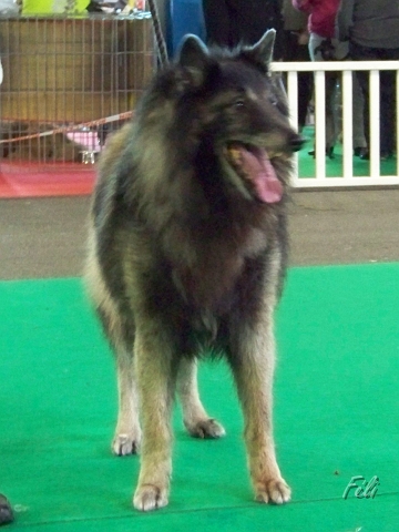 5377.JPG
