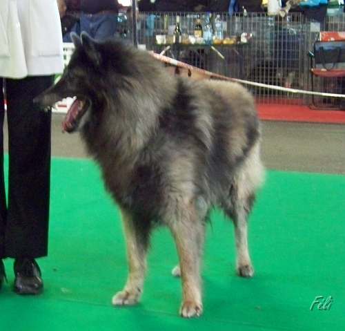 5378.JPG