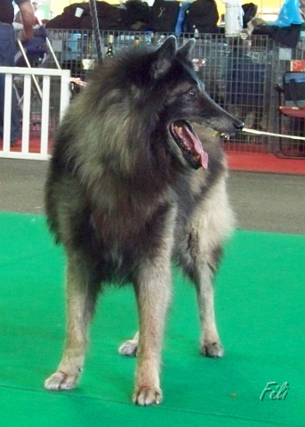 5380.JPG
