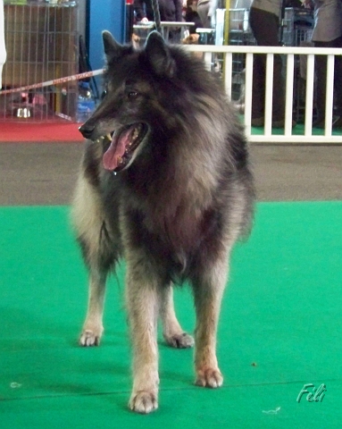 5384.JPG