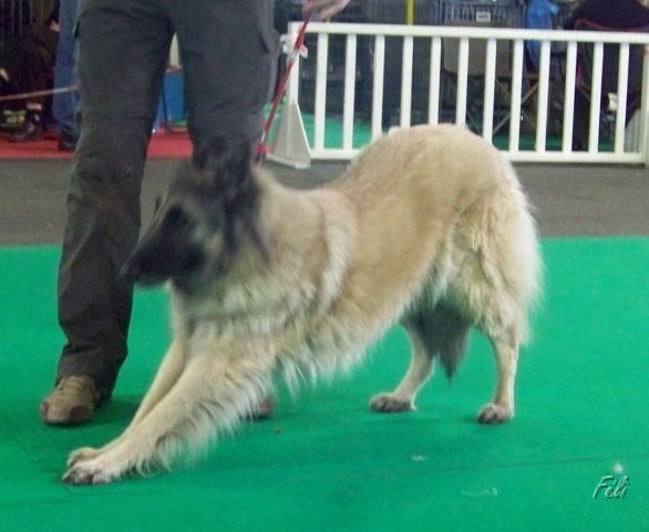 5397.JPG