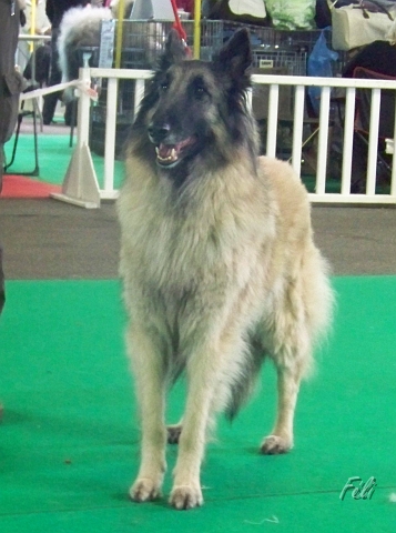 5398.JPG