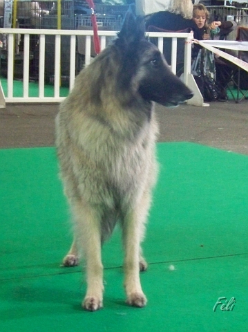 5399.JPG