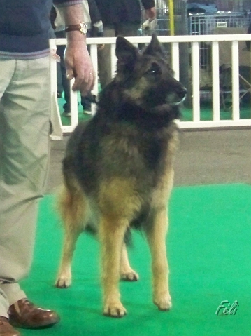 5414.JPG