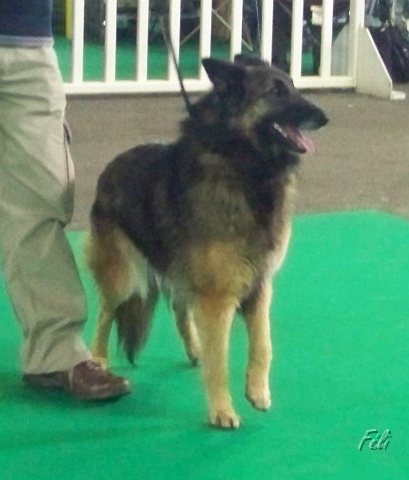 5419.JPG