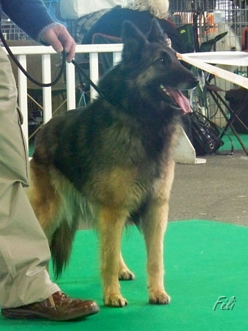 5422.JPG