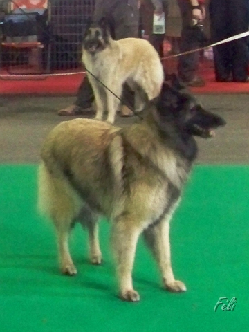 5449.JPG
