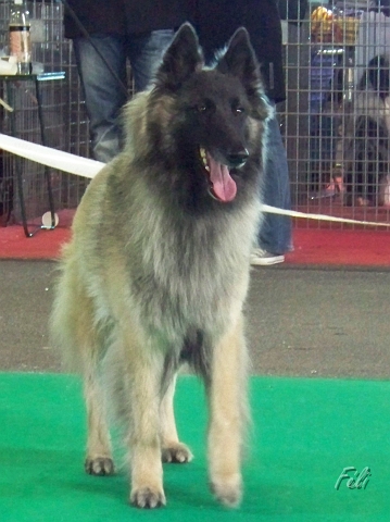 5466.JPG