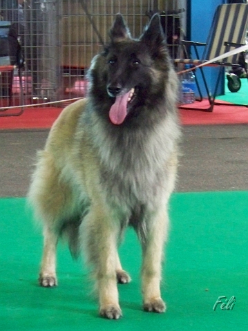 5467.JPG