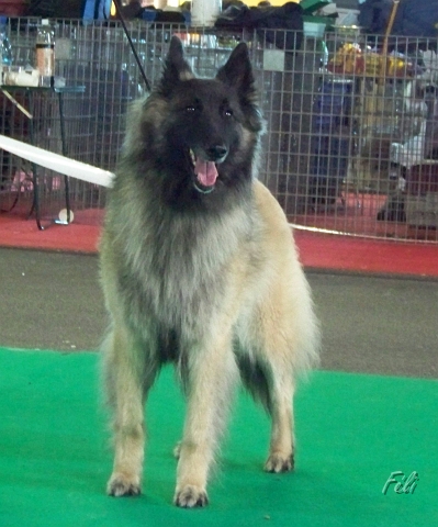 5471.JPG