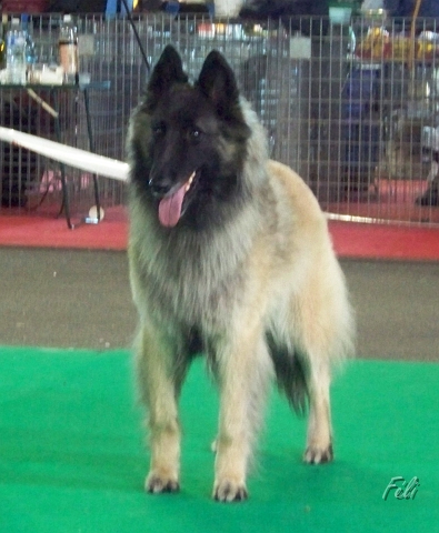 5472.JPG