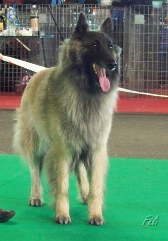 5473.JPG