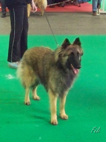 5486.JPG