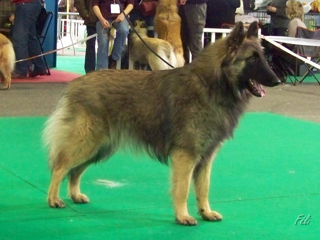 5492.JPG