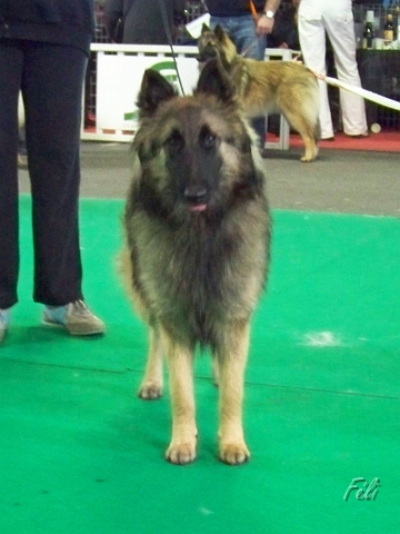 5493.JPG
