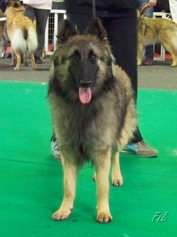 5494.JPG