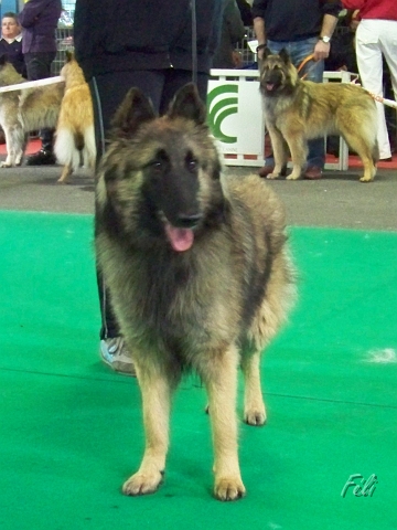5495.JPG