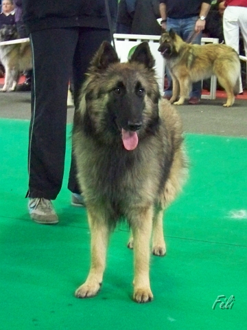 5496.JPG