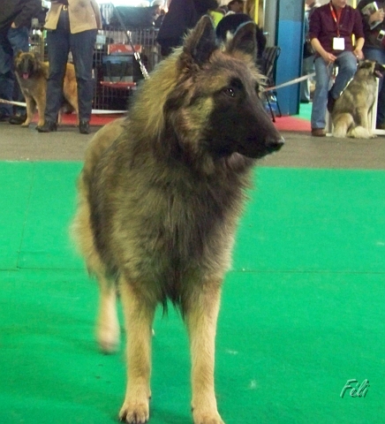 5499.JPG