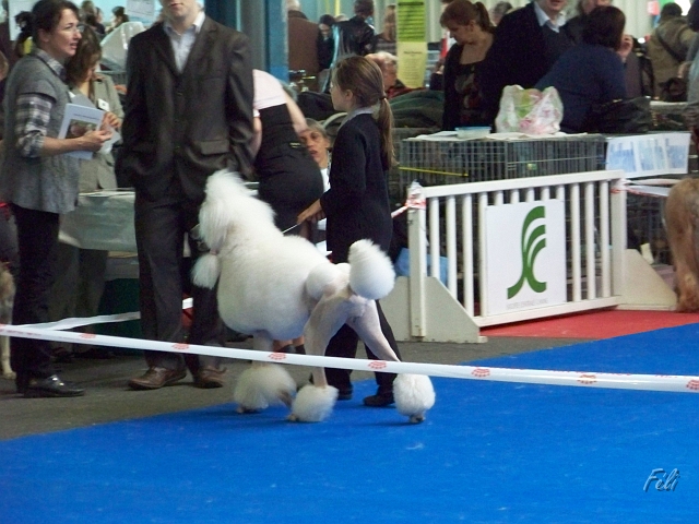 5532.JPG