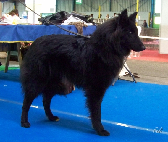 5550.JPG