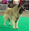 5296