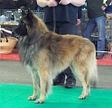 5341