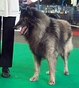 5383