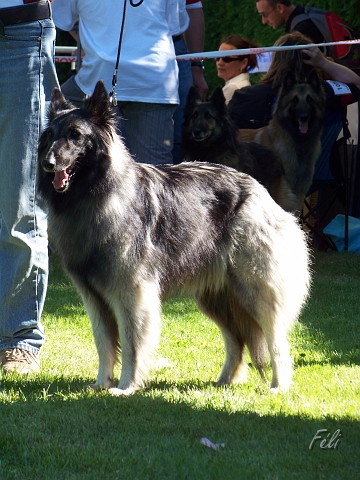 102_6144.JPG