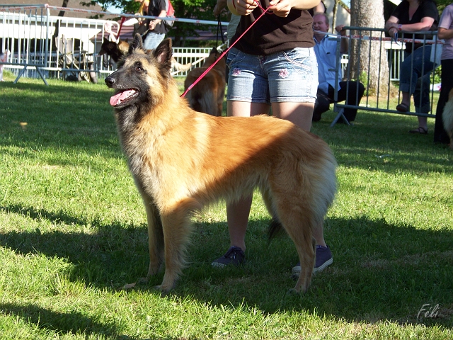 102_6147.JPG