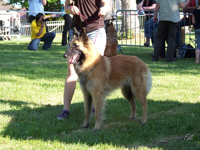 102_6154.JPG
