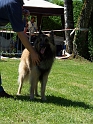 102_6102