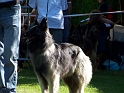 102_6141