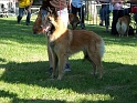 102_6150