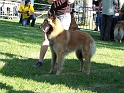 102_6152