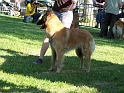 102_6153