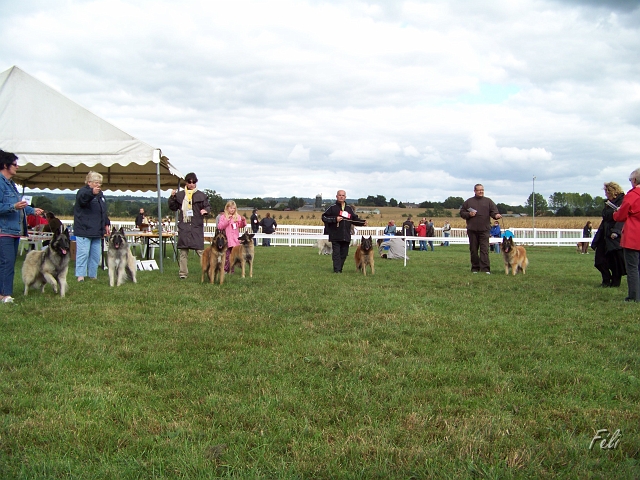 100_7284_classe_ouverte_femelles.JPG - Le classement final