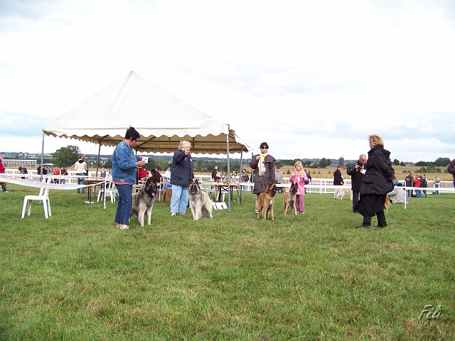 100_7285_classe_ouverte_femelles.JPG - Le classement final