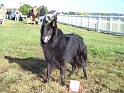 100_7029_sparfel_des_gardiens_de_lhermine